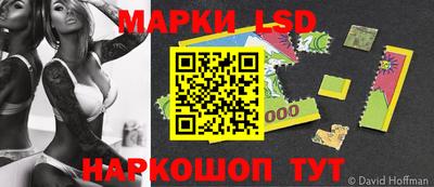 гашик Донской