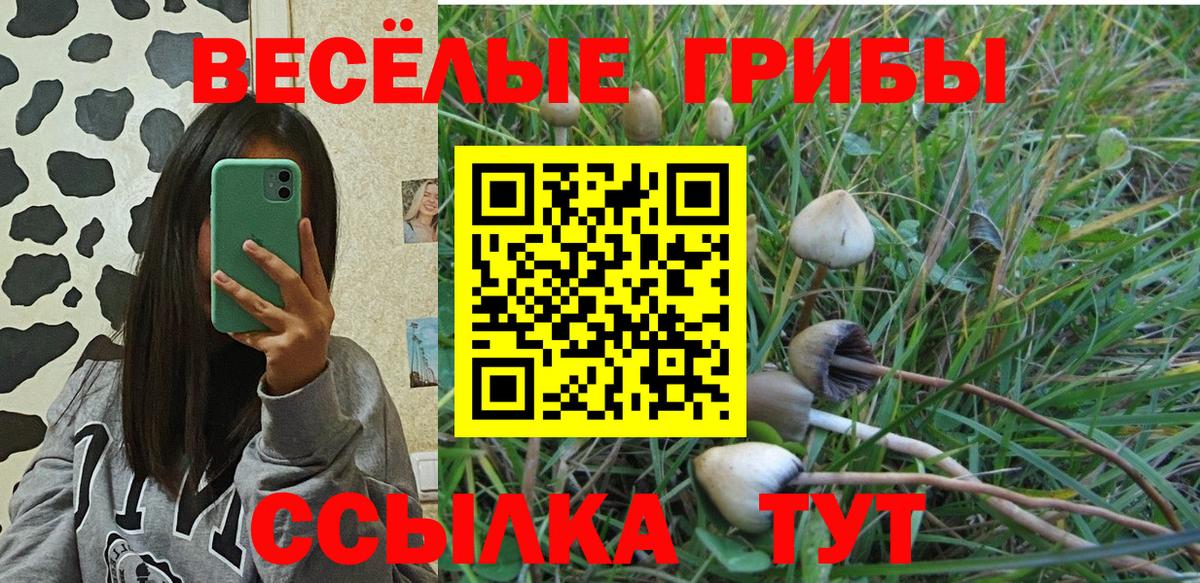 Галлюциногенные грибы мухоморы Магадан